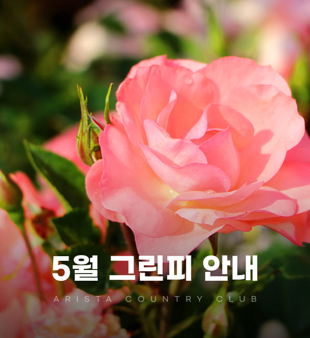 5월그린피